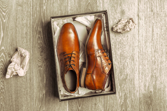 Care Tips for Leather Shoes